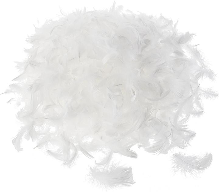 Produktbild VBS Gänsefedern, 20 g