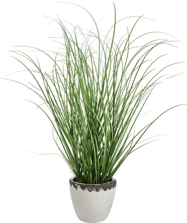 Produktbild micasa Fleur (50 cm)