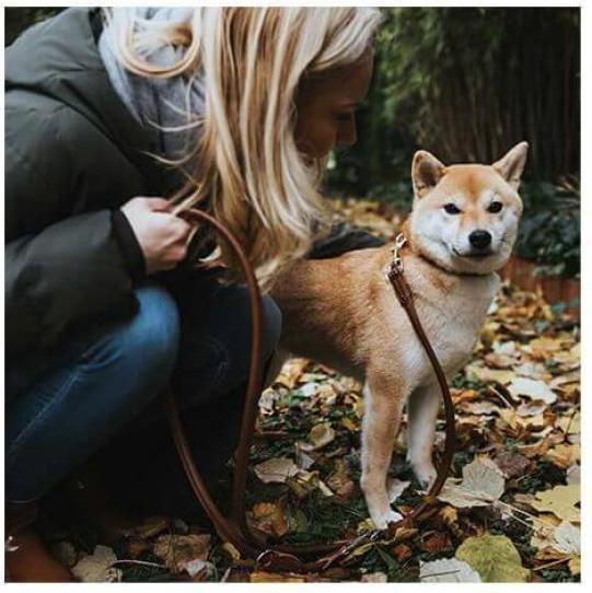 Immagine prodotto Hunter Piombo regolabile Rotondo e morbido (M, Cane)