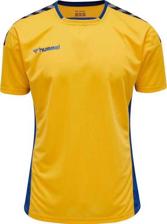 Image du produit hummel Authentic Poly Jersey S/S (L)