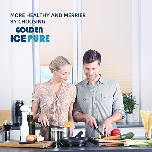 Actual product image Golden Icepure Activated charcoal filter cooker bonnet