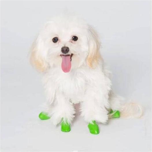 Produktbild Pawz Pfotenschutz (XXS)