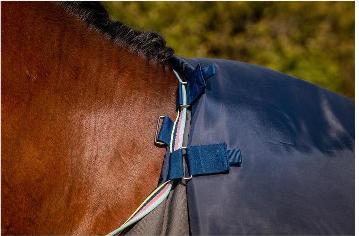 Produktbild Horseware Weidedecke mit Halsteil Amigo Bravo 12 Plus 250g