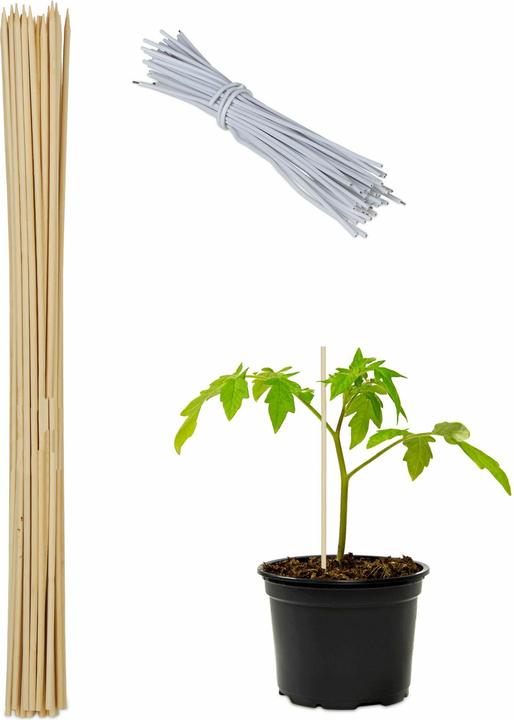 Actual product image Relaxdays 6x vacuum bags