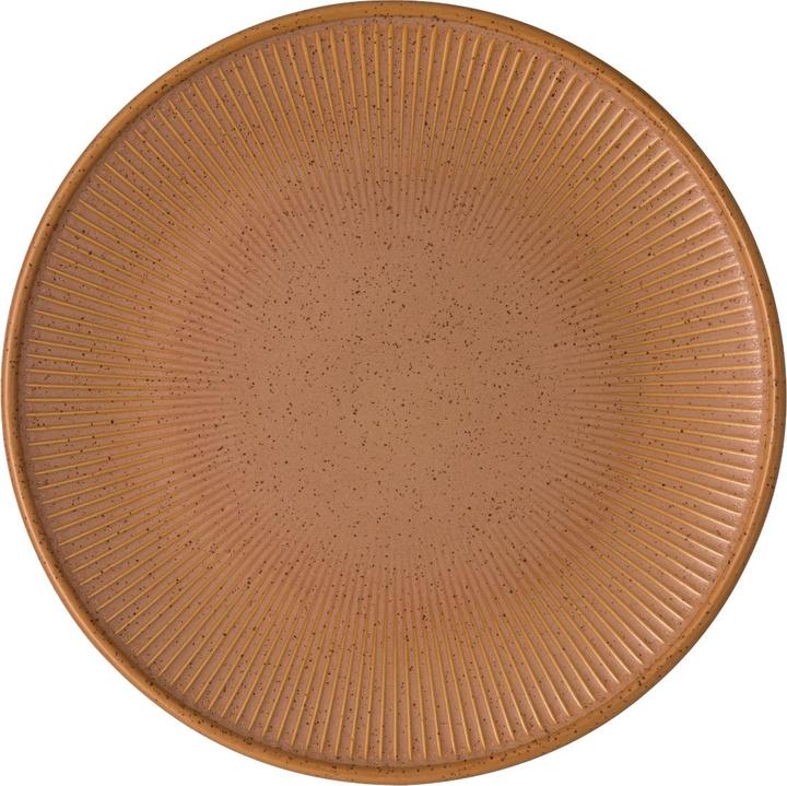 Immagine prodotto Thomas Piastra piatta della Terra (1 x, 22.60 cm)