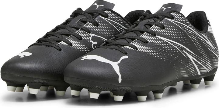 Black/Silver