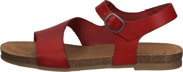 Actual product image Cosmos Comfort Sandals (39)