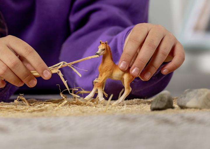 Actual product image Schleich Arabian foal