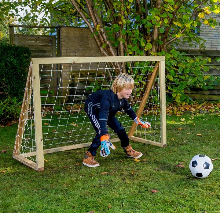 Actual product image Euro Play Homegoal Classic Mini