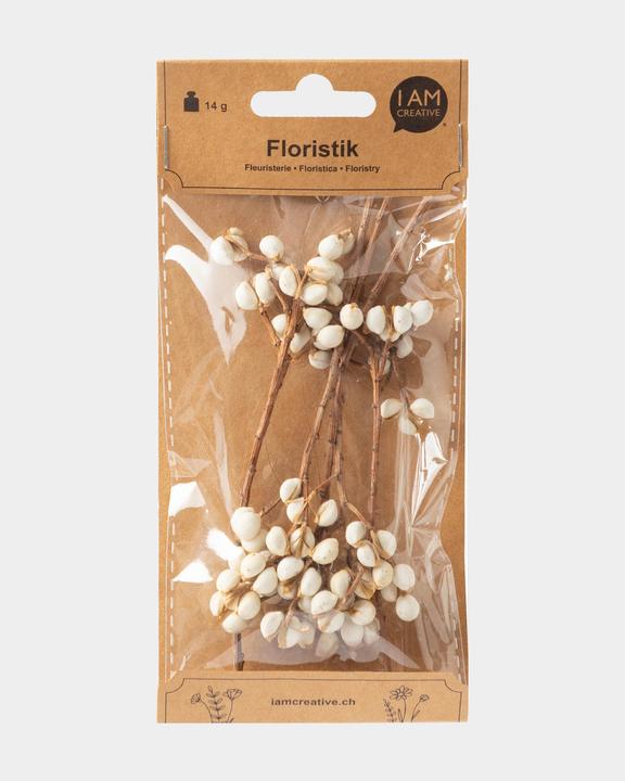 Actual product image I Am Creative Dried flower decoration fruit (Dried flowers)