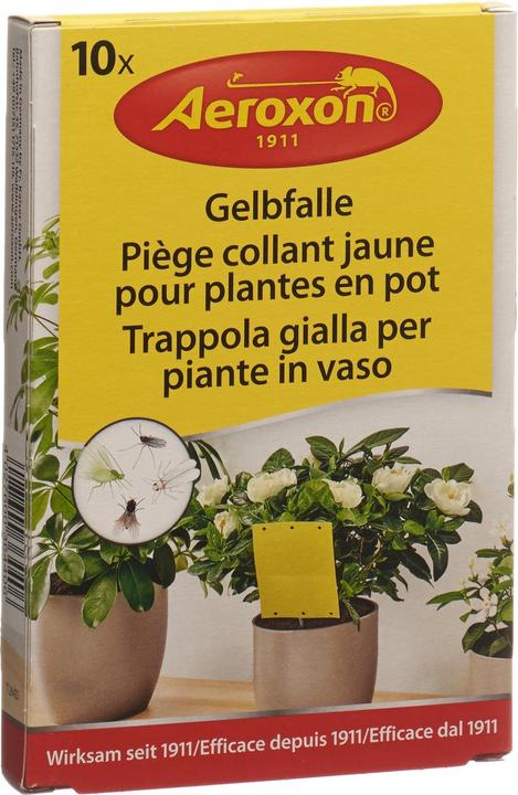 Aeroxon Gelbfalle für Topfpflanzen