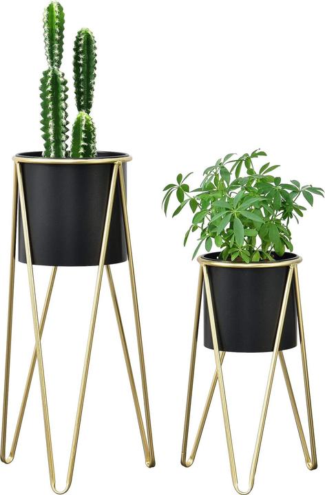 Produktbild En.Casa Hedera