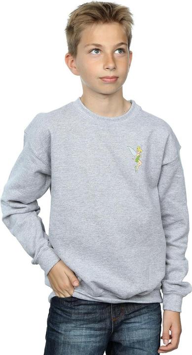 Actual product image Disney Boys Tinkerbell Chest Sweatshirt (152, 158)