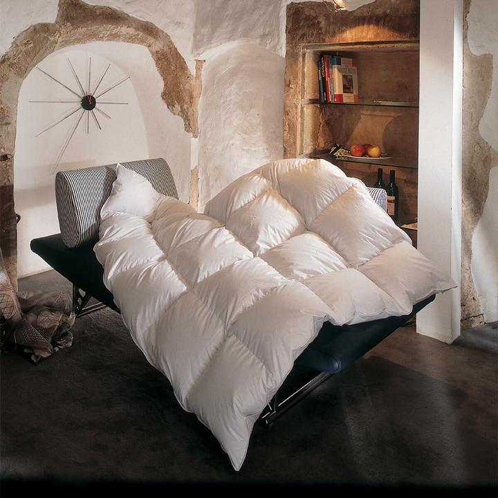 Actual product image BettwarenShop Toronto extra warm (1750 g, 200 x 200 cm)