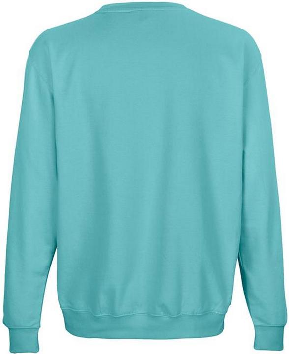Actual product image Sols Unisex Adult Columbia Sweatshirt (M)