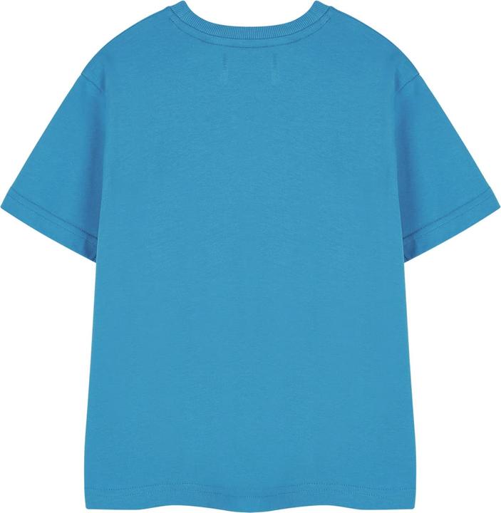Actual product image Hot Wheels Boys Jawsome T-Shirt (116)