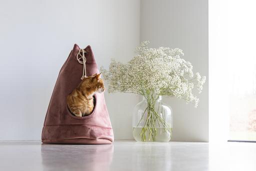 Image du produit Designed by Lotte Vilar (Chat)