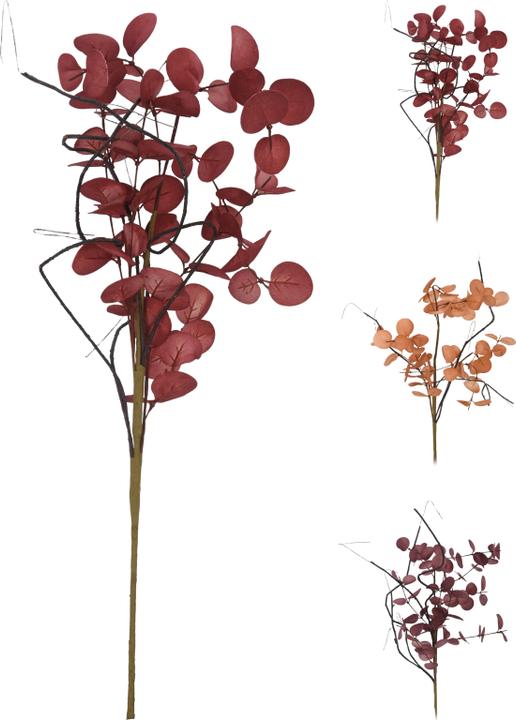 Image du produit Koopman Herbst (65 cm)