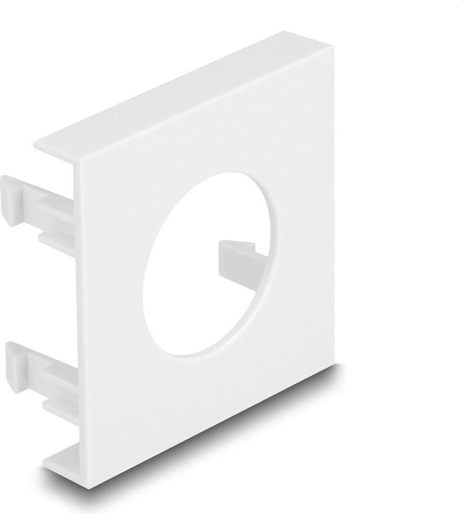 Immagine prodotto Delock Easy 45 copertura del modulo foro di taglio Ø 24 mm, 45 x 45 mm 5 pezzi bianco (Montaggio a parete)