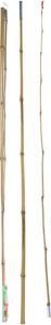 Productafbeelding Hengel bamboe, 2mtr. (200 cm)