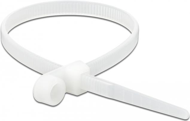 Actual product image Delock Cable Tie with Fastening Eyelet (200 mm, 10 pcs.)
