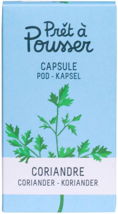 Image du produit Prêt à Pousser Coriandre (Graines d'herbes aromatiques)