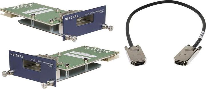Actual product image Netgear AX742, two 24 Gigabit Ethernet XFP adapter modules (Switch module)