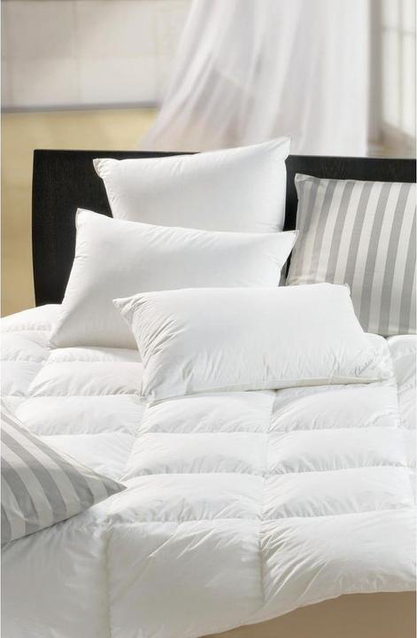 Image du produit DOR Nerium Classic (50 x 70 cm)