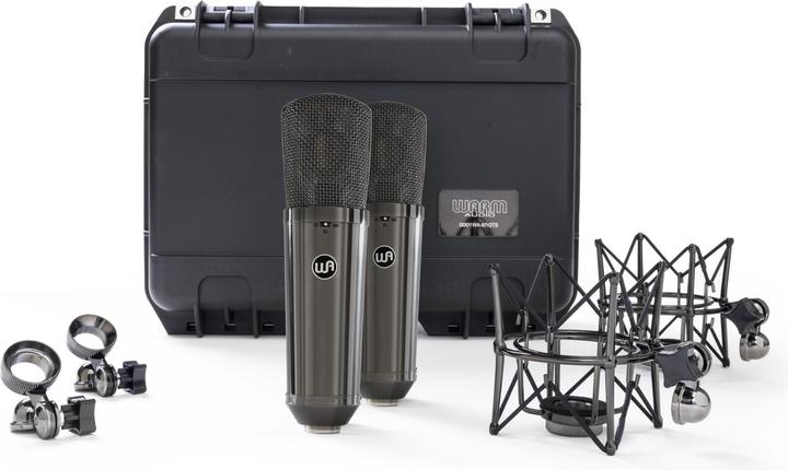 Warm Audio WA-87 R2 TS - Paire stéréo en titane en édition limitée