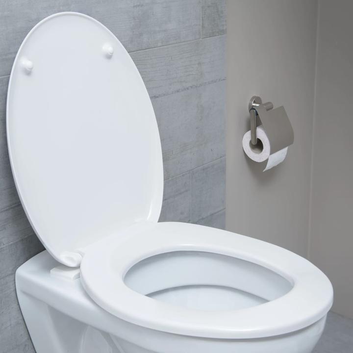 Produktbild Schütte Toilettensitz