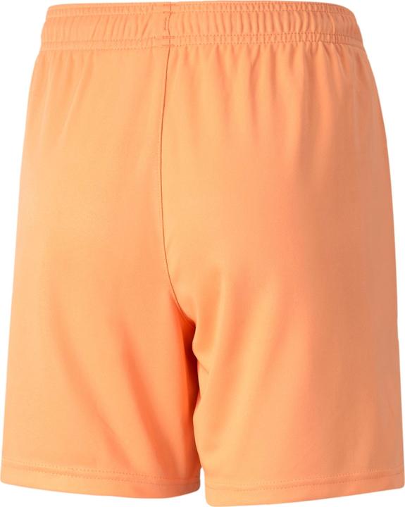 Actual product image Puma teamLIGA Shorts Jr (164)