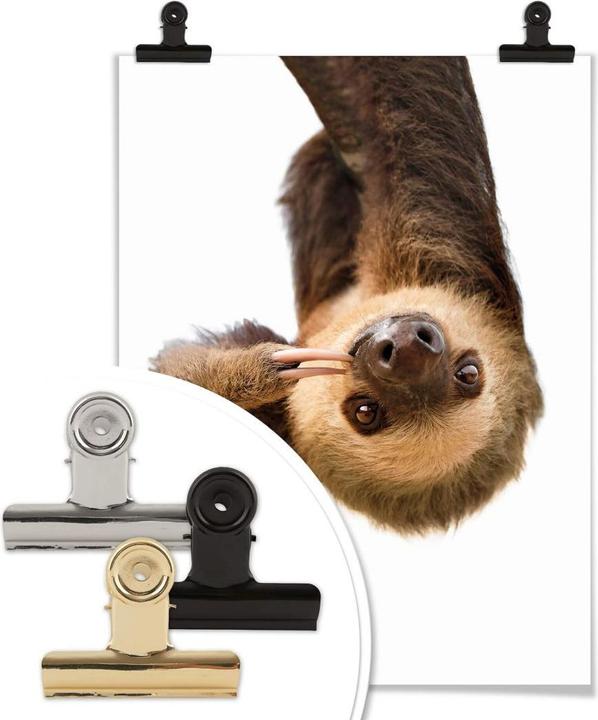 Actual product image Trenddeko The Sloth (50 x 60 cm)