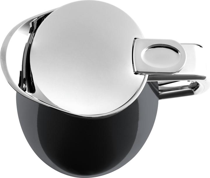 Actual product image Emsa Plaza carbon (1 l)