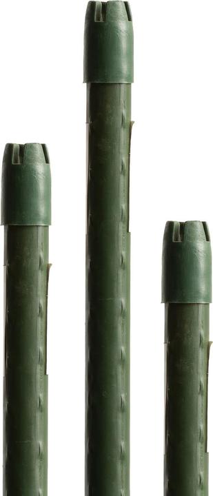 Immagine prodotto Miogarden Pflanzenstab 180 cm (1.50 cm, 180 cm)