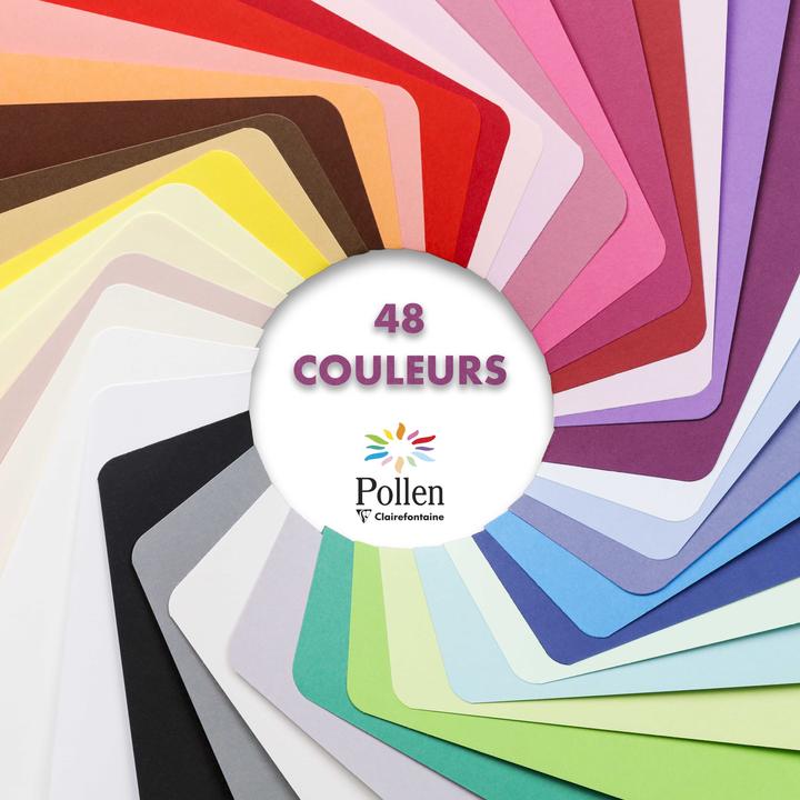 Actual product image Pollen Enveloppes (DL, 20 x)