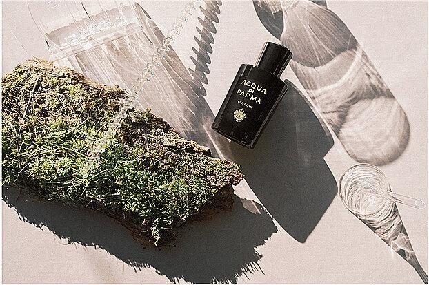 Produktbild Acqua Di Parma Quercia (Eau de Parfum, 100 ml)