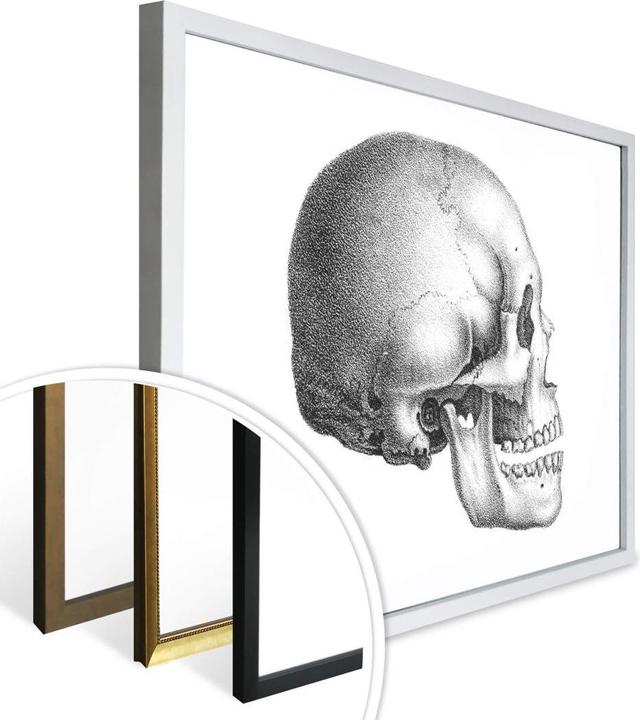 Produktbild Trenddeko Totenschädel 01 (40 x 30 cm)