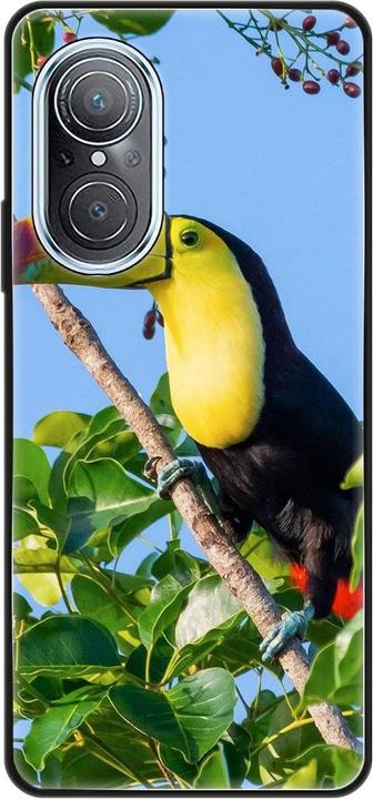 Tucan