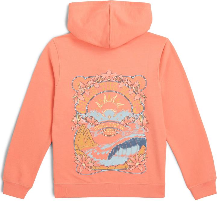Produktbild O'Neill Back Print Hoodie (176)