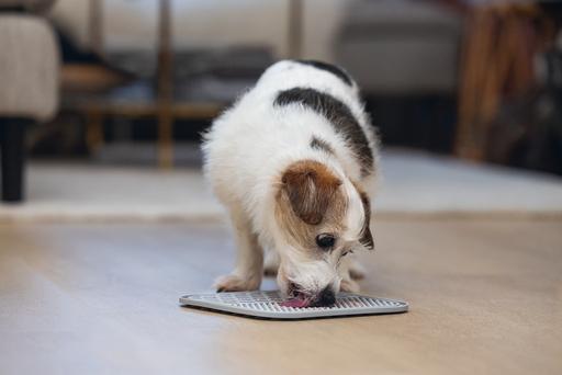 Image du produit Karlie Tapis à lécher Ava (Sac à friandises pour chien)