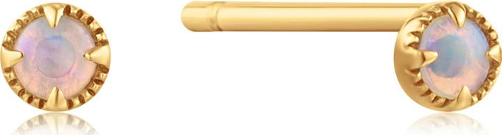Image du produit Ania Haie Boucles d'oreilles en or 14kt Opal (Or jaune 585)