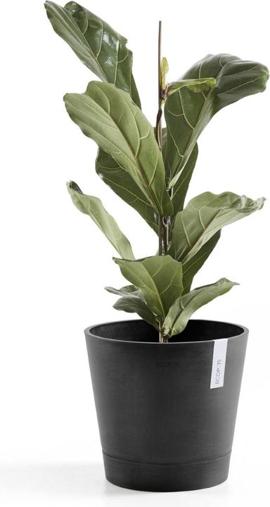 Immagine prodotto Ecopots Venezia (30 cm)
