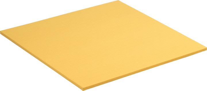 Sport-Thieme Premium crawling mat