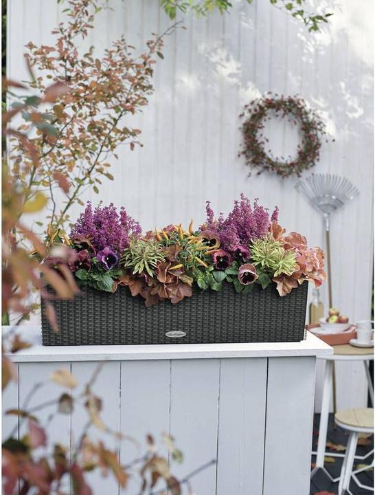 Image du produit Lechuza Chalet Balconera (19 cm)