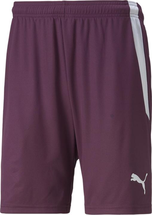 Produktbild Puma teamLIGA Shorts (XS)