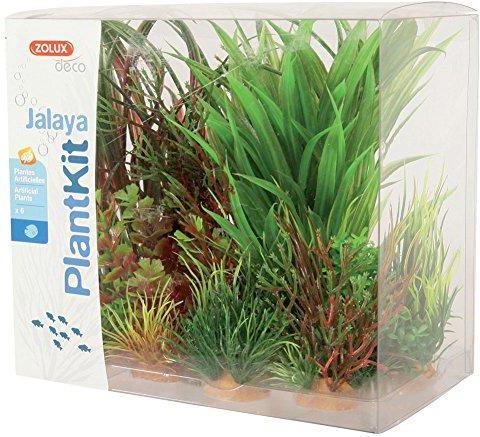 Image du produit Zolux Plant Decoration PlantKit Jalaya Model 3 (352147) (Décoration, Plantes)