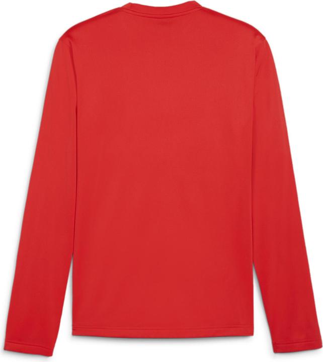 Puma teamGOAL Training Sweat