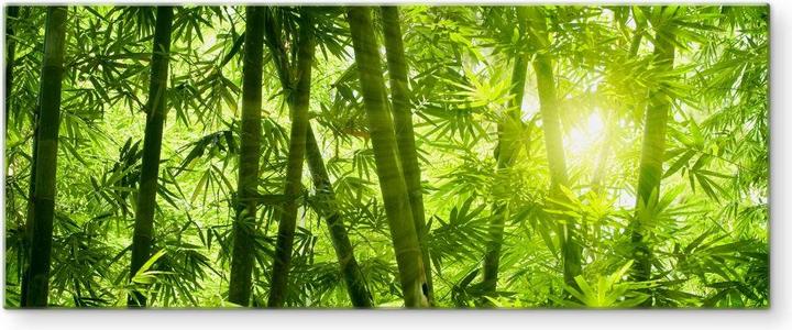 Produktbild Trenddeko Sonnenschein im Bambuswald - Panorama (30 x 80 cm)