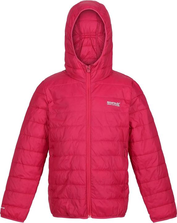 Actual product image Regatta Childrens/Kids Hillpack Hooded Jacket (158)