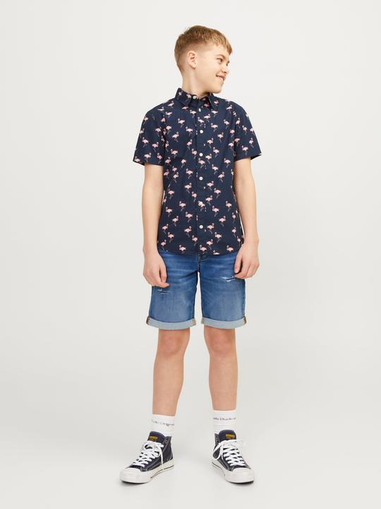 Produktbild Jack & Jones Regular Fit Regular Fit Shorts Für jungs Regular Fit Shorts (176)